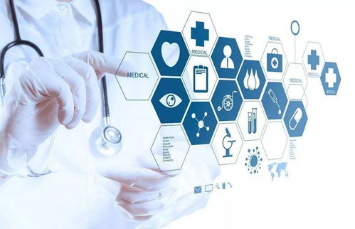 內(nèi)蒙古互聯(lián)網(wǎng)政務(wù)服務(wù)革新取得階段性成果，構(gòu)建高效便民互聯(lián)網(wǎng)信息服務(wù)體系